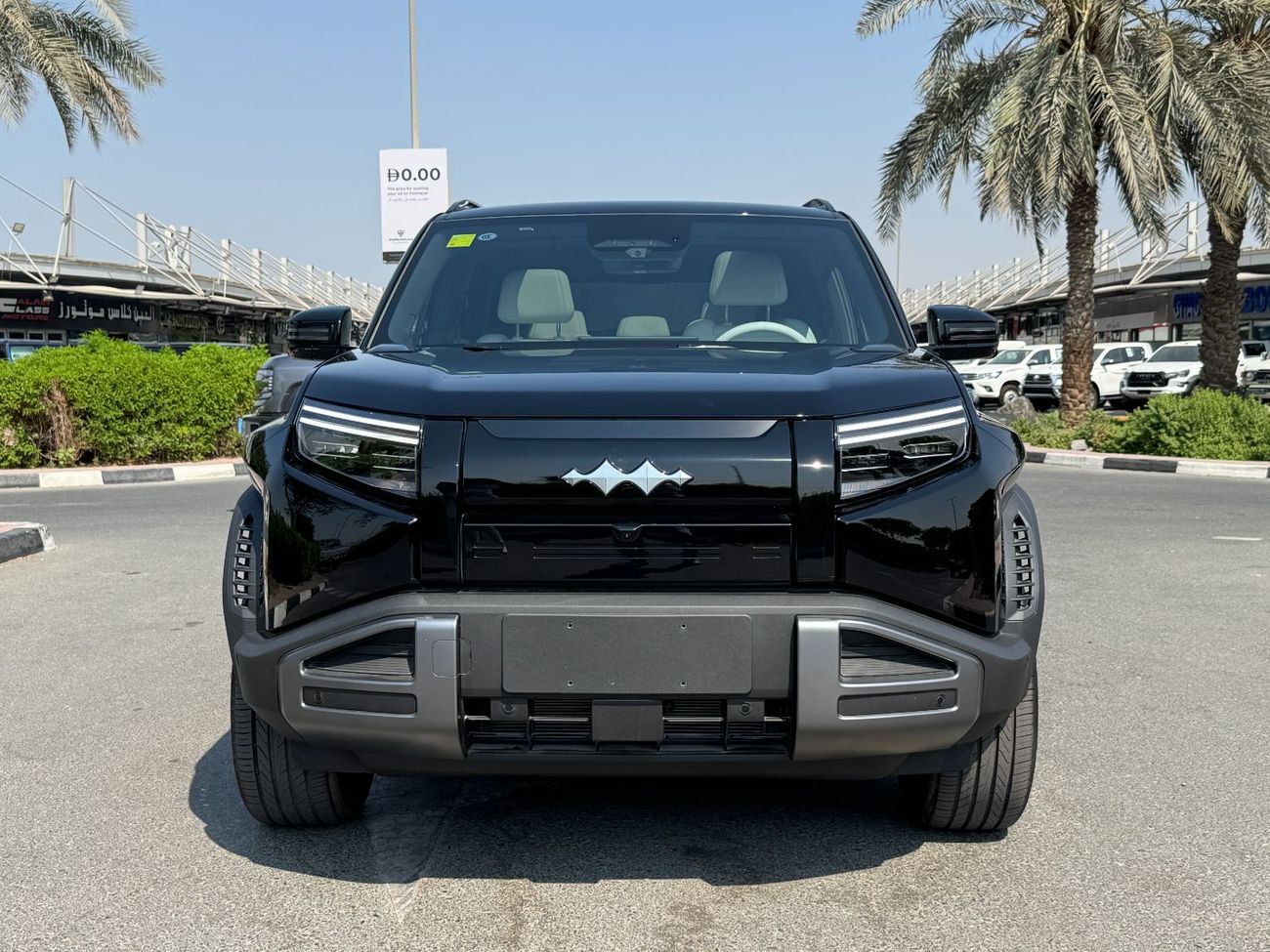 بي واي دي ليوبارد تيتانيوم 3 Titanium 3 Max