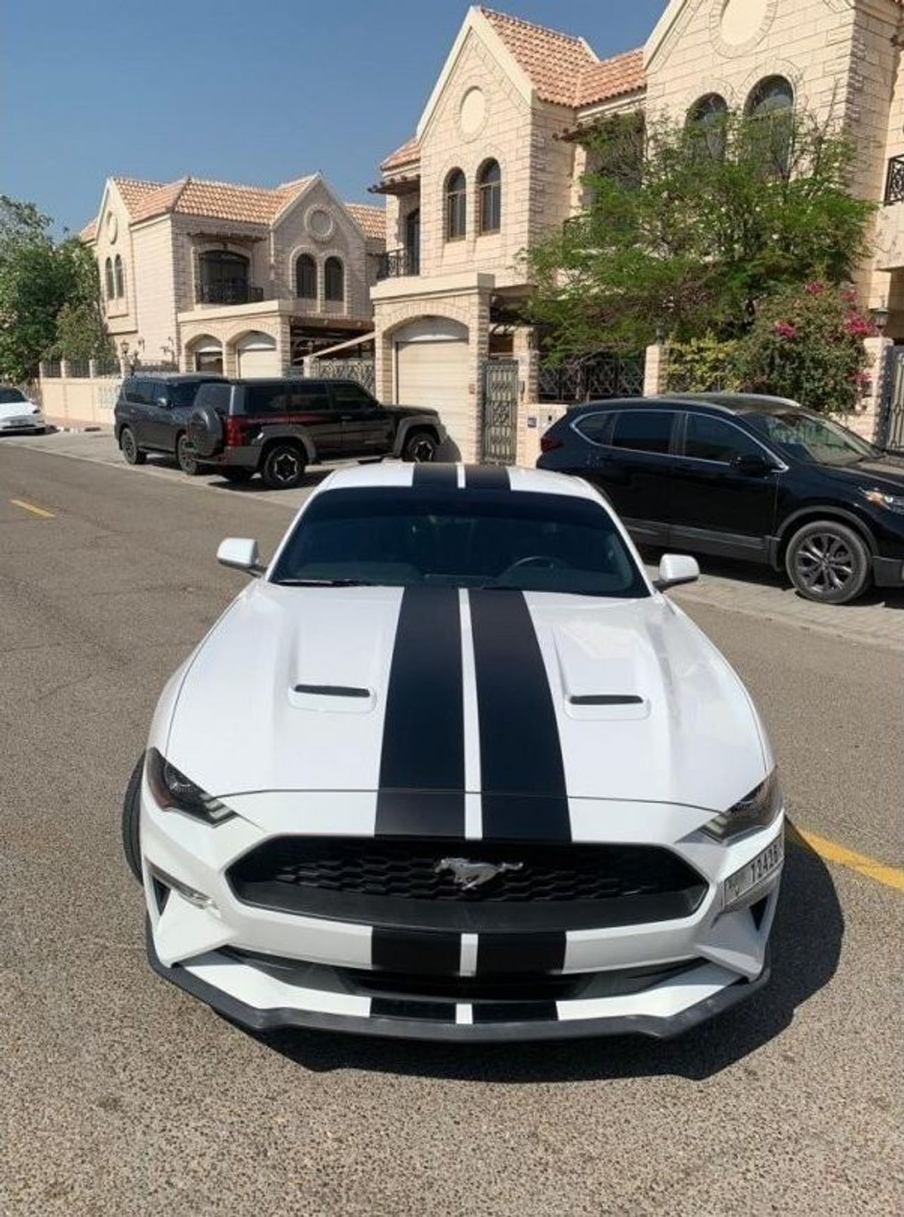 Ford Mustang EcoBoost