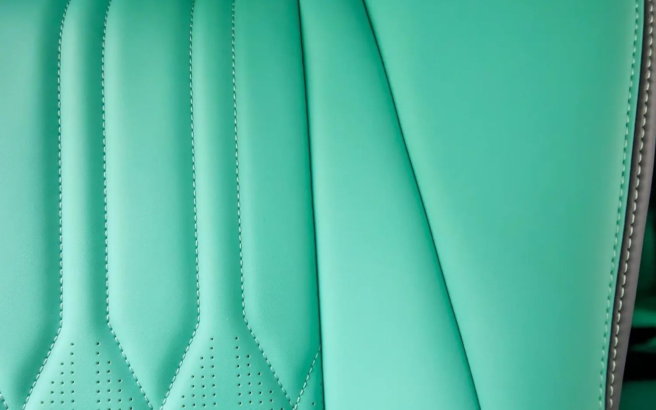 Ford Tourneo Black Mamba - With Warranty and Service Contract