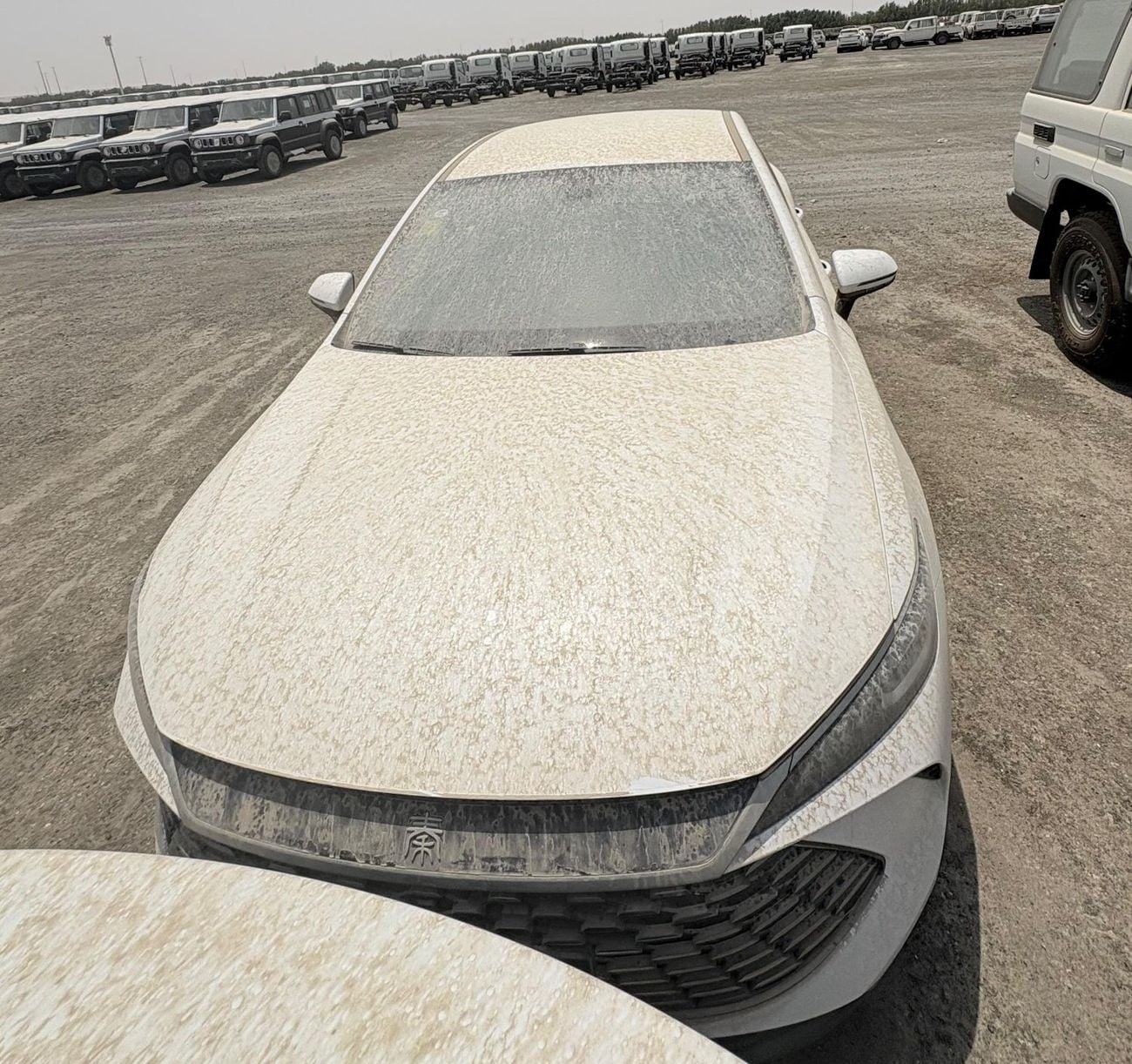 BYD QIN PLUS STD