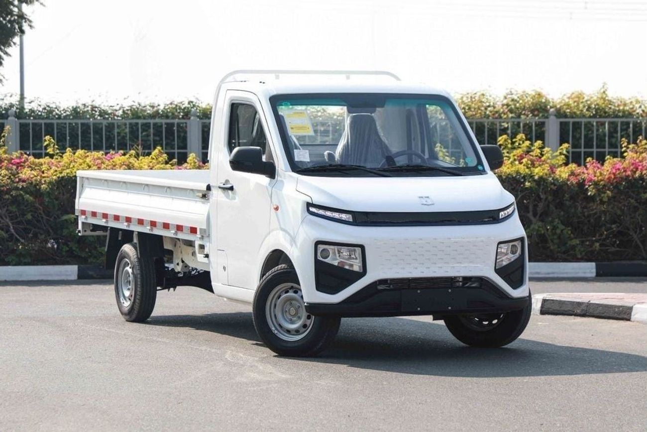 Geely Farizon 2024 SUPER VAN FARIZON F1E FENCE - WHITE inside BLACK | Export Only