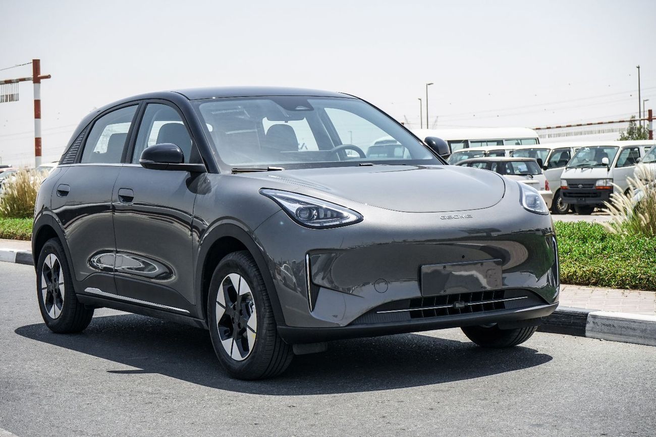 جيلي شينغ يوان Geome EV 410KM