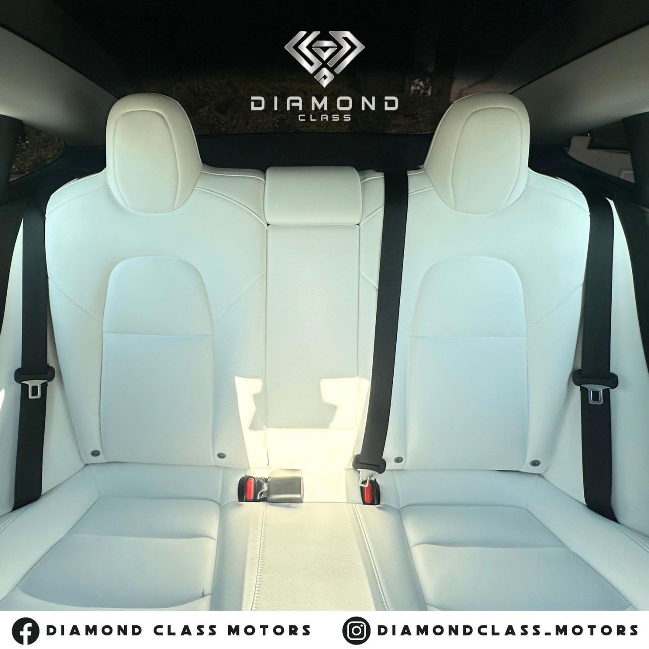 Tesla Model 3 Tesla Model 3 Performance  Full Self-Driving  White Interior  Auto Pilot  Dual Motor  2022 GCC Under