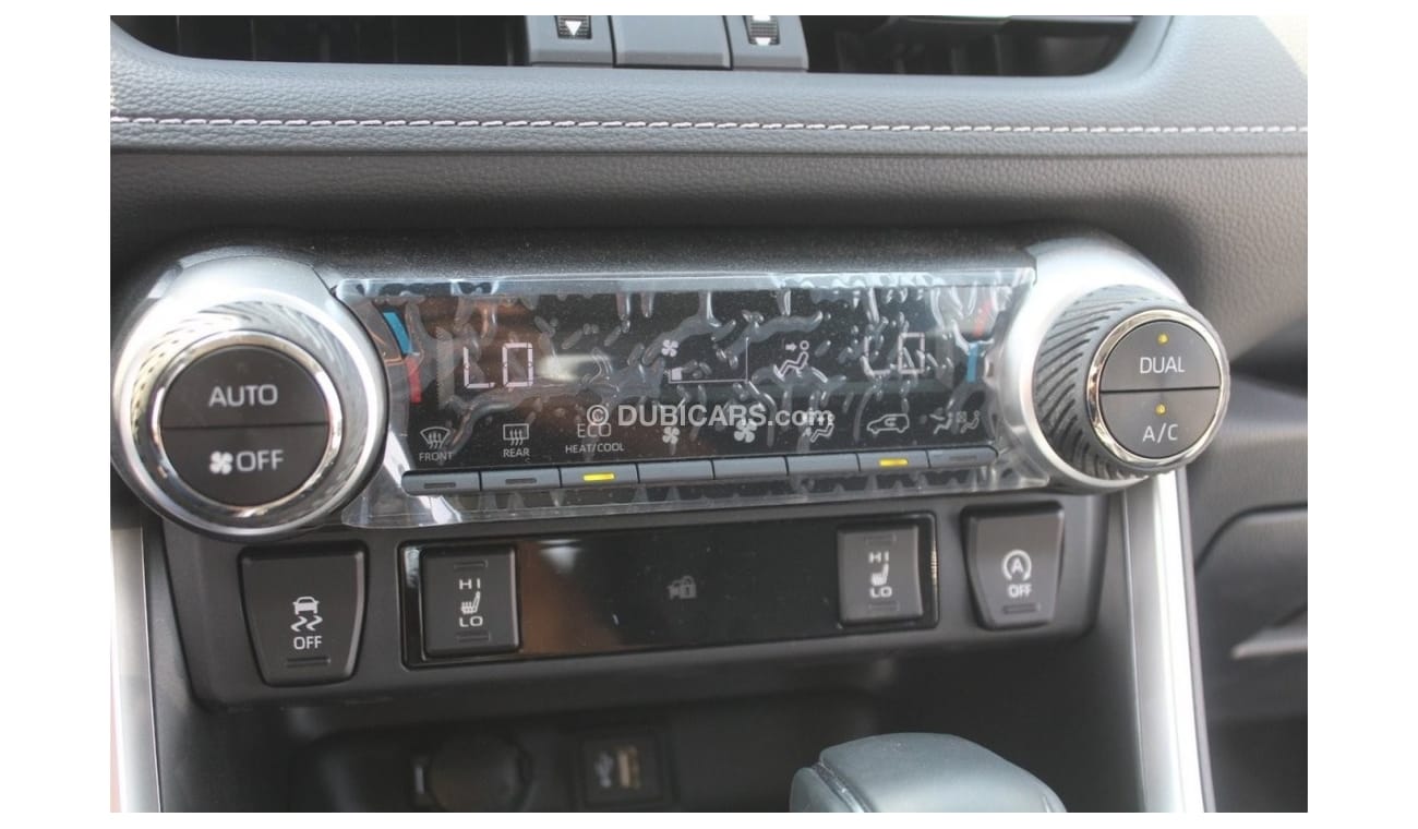 Toyota RAV4 2023 RAV4 2.0L 20th Anniversary 2WD
