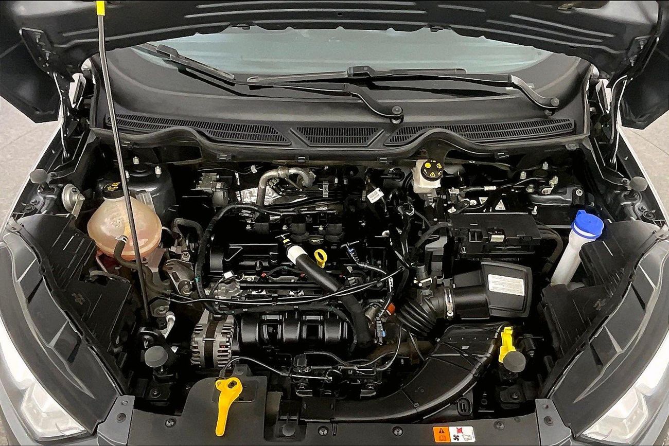 Ford EcoSport Titanium | Guaranteed Warranty | 0 Down Payment