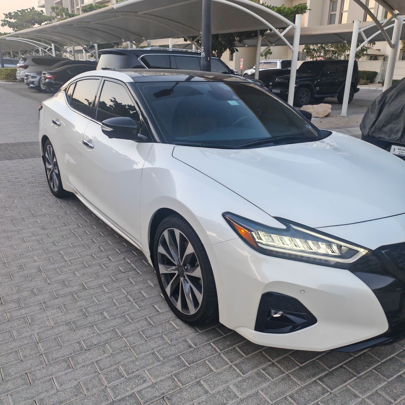 نيسان ماكسيما