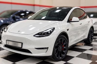 Tesla Model Y PERFORMANCE