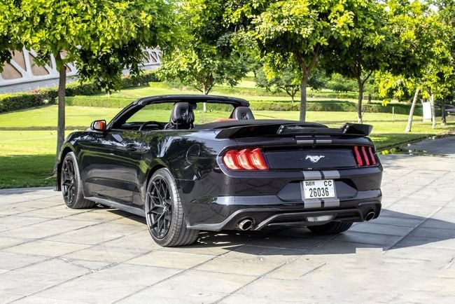 Ford Mustang EcoBoost Premium 2.3L Convertible M/T, миниатюра 25