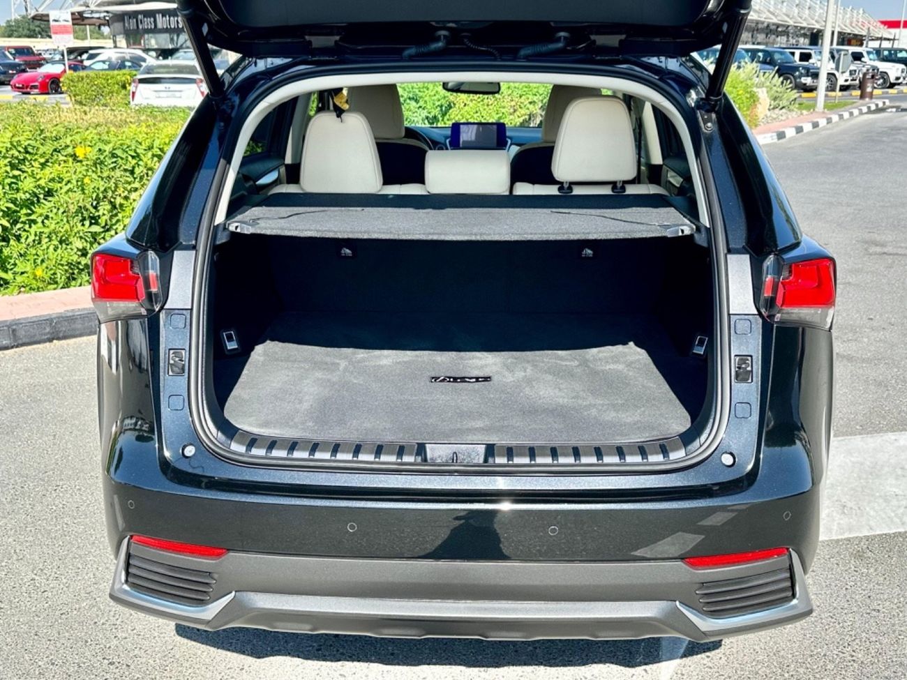 Lexus NX300 Premier 2021 Lexus NX300 hybrid