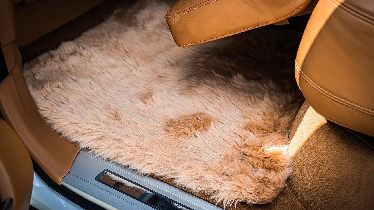 لاند روفر رينج روفر SV Autobiography