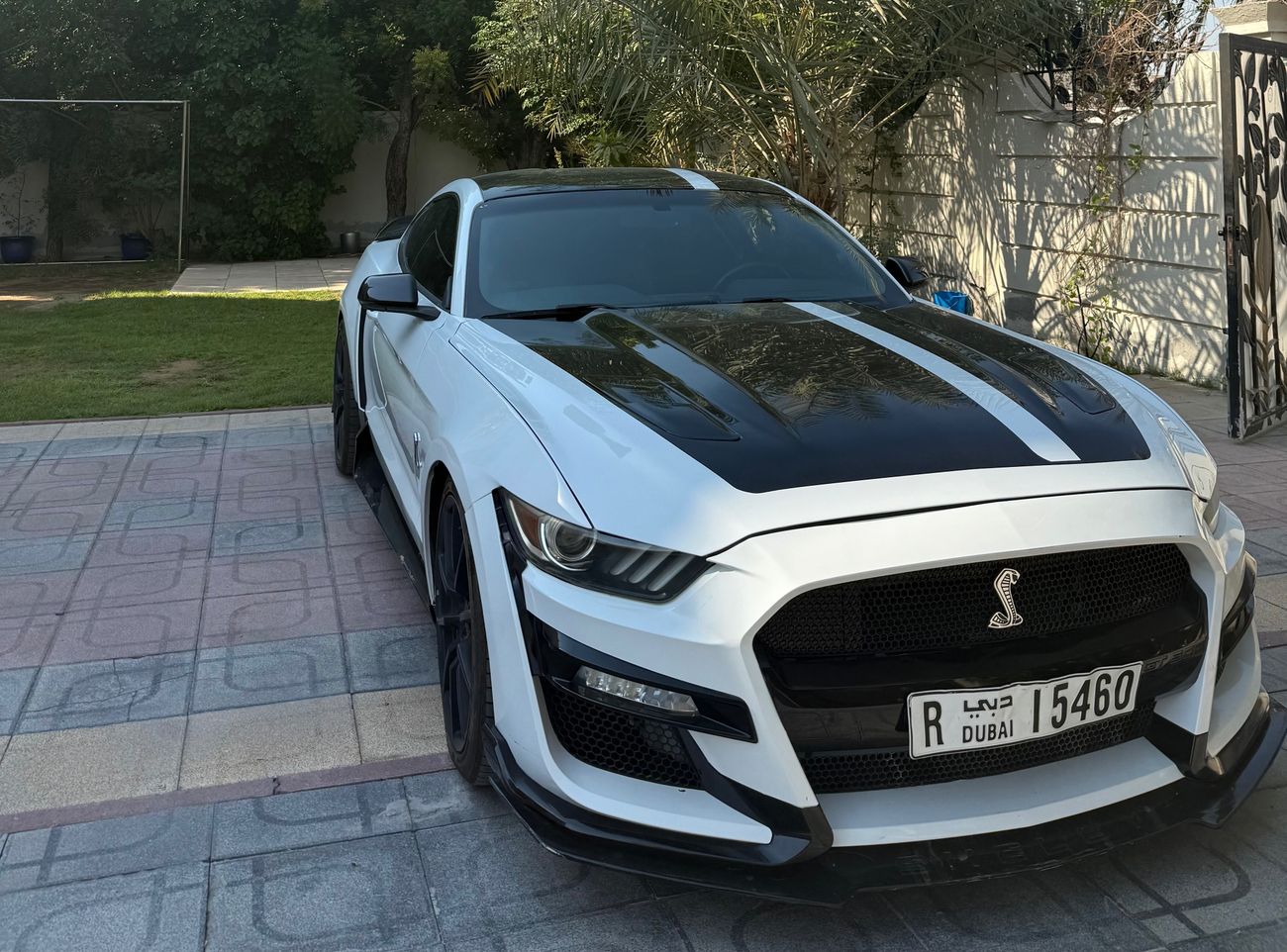 Ford Mustang Mustang GT 5.0 manual