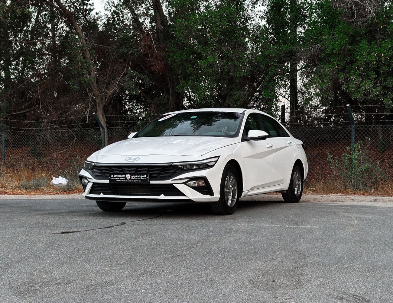 Hyundai Elantra SMART