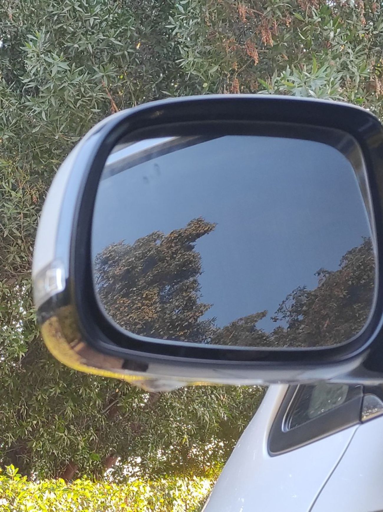 Kia Sedona Kia Sedona 2015 7 seater full options no1