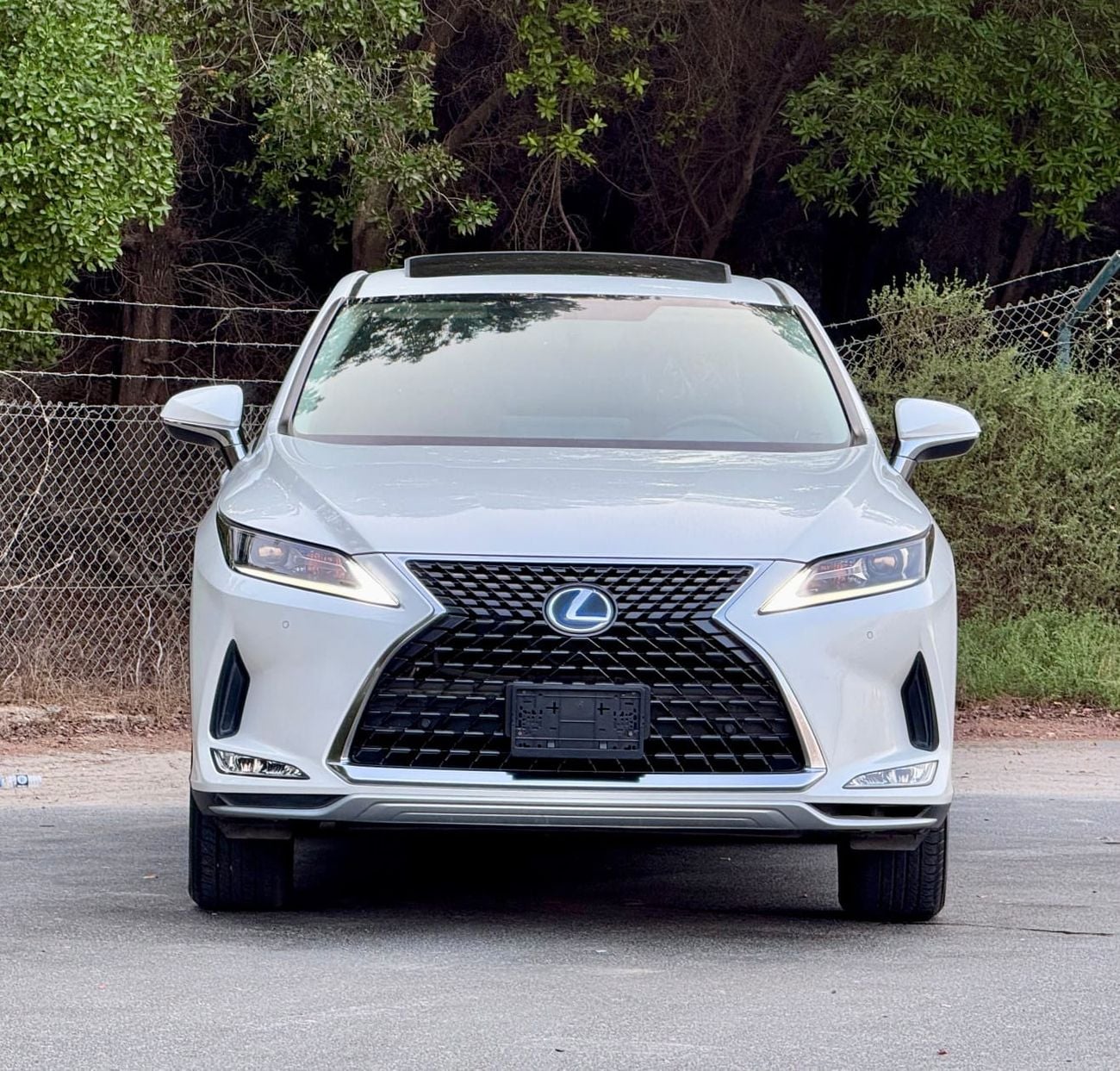 Lexus RX450h PRESTIGE