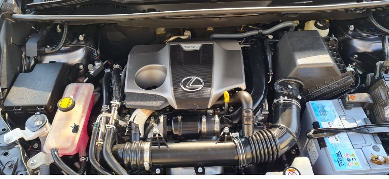 Lexus NX300 F Sport 2.0L