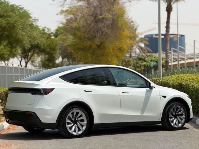 Tesla Model Y LONG RANGE, миниатюра 23
