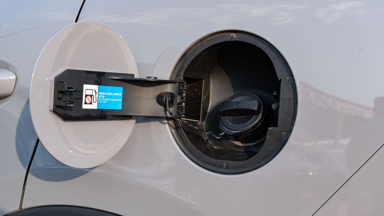 بي واي دي تانغ FLAGSHIP 2025 |  BYD TANG DMI - SMART DRIVE EDITION 115KM FLAGSHIP
