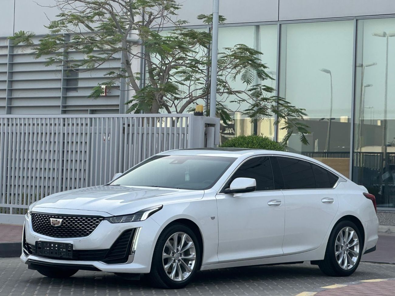 Cadillac CT5 CT5 2.8L V4 2023 // FSH // UNDER WARRANTY // ORGINAL PAINT // ACCIDENT FREE