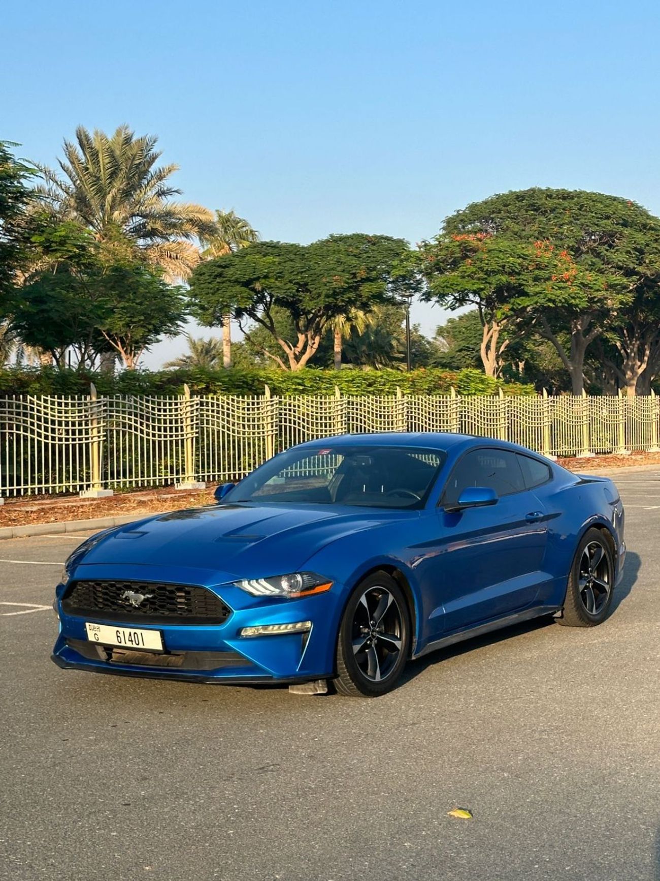 فورد موستانج