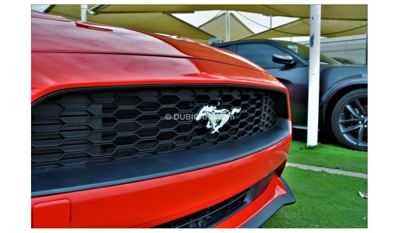 فورد موستانج ايكوبوست