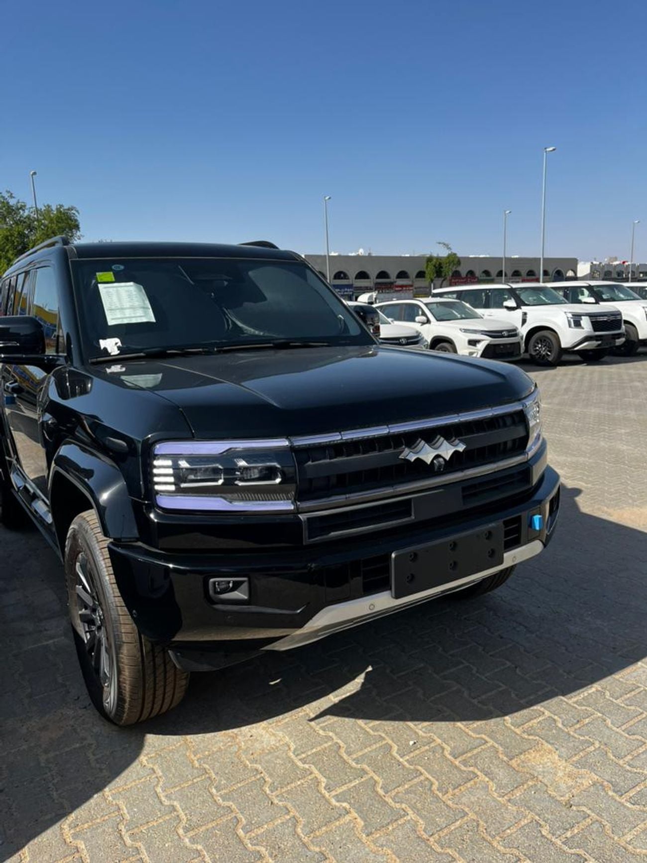 بي واي دي ليوبارد 5