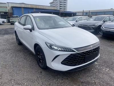 BYD QIN PLUS white-grey white-beige