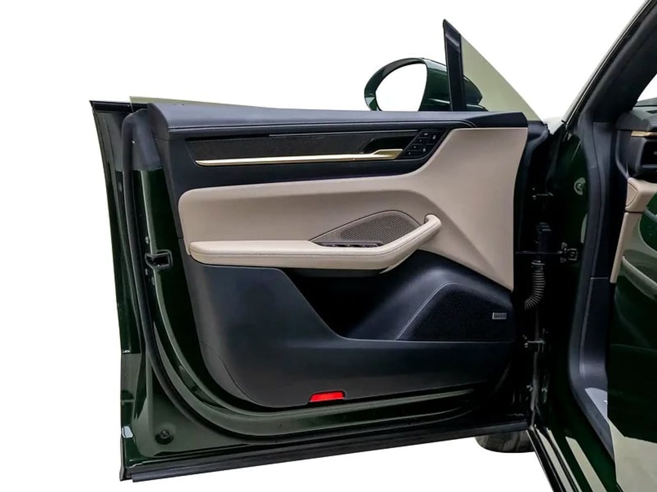 Porsche Macan Turbo Electric