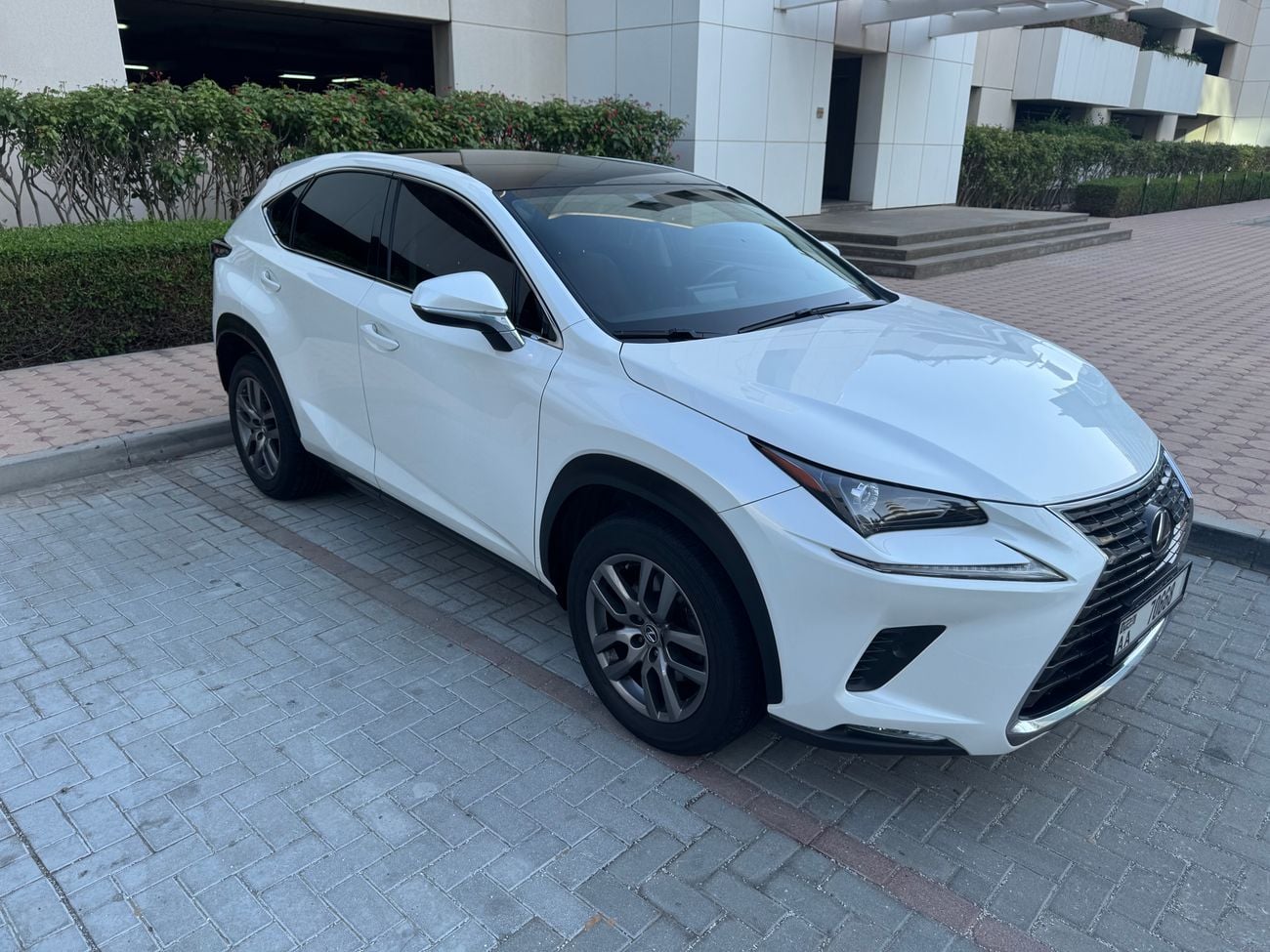 Lexus NX300