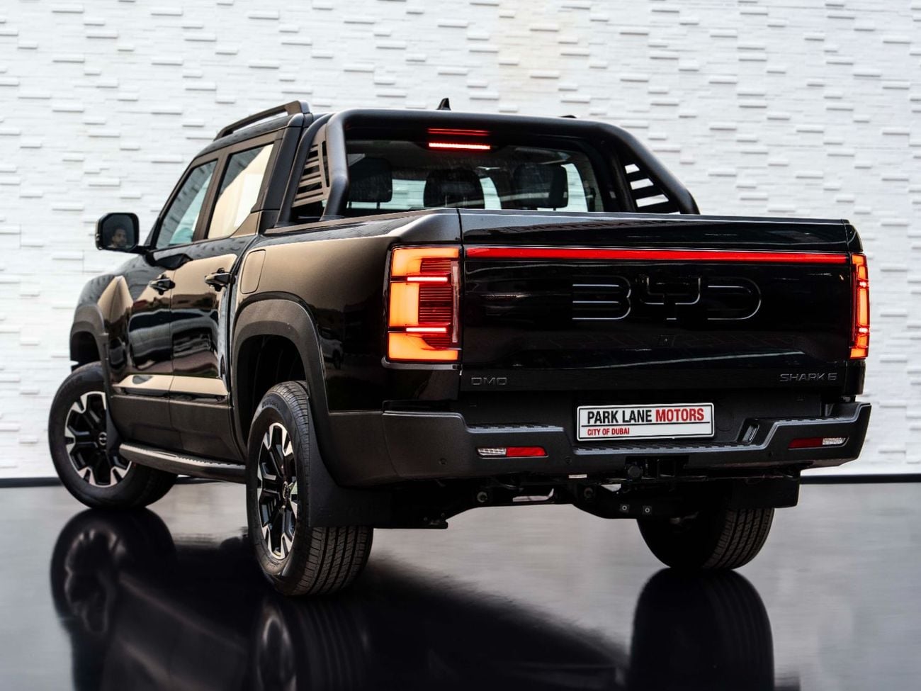 بي واي دي شارك 6