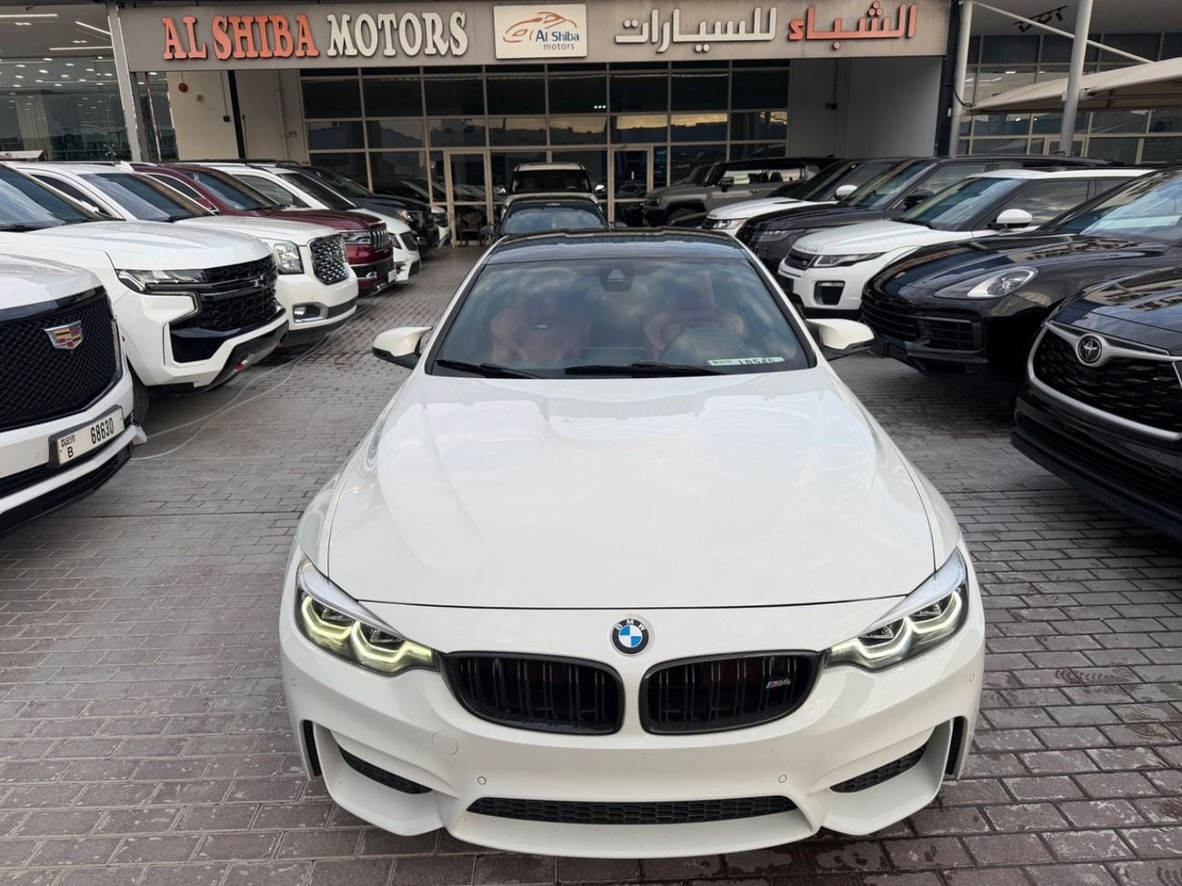بي أم دبليو M4 Std 3.0L
