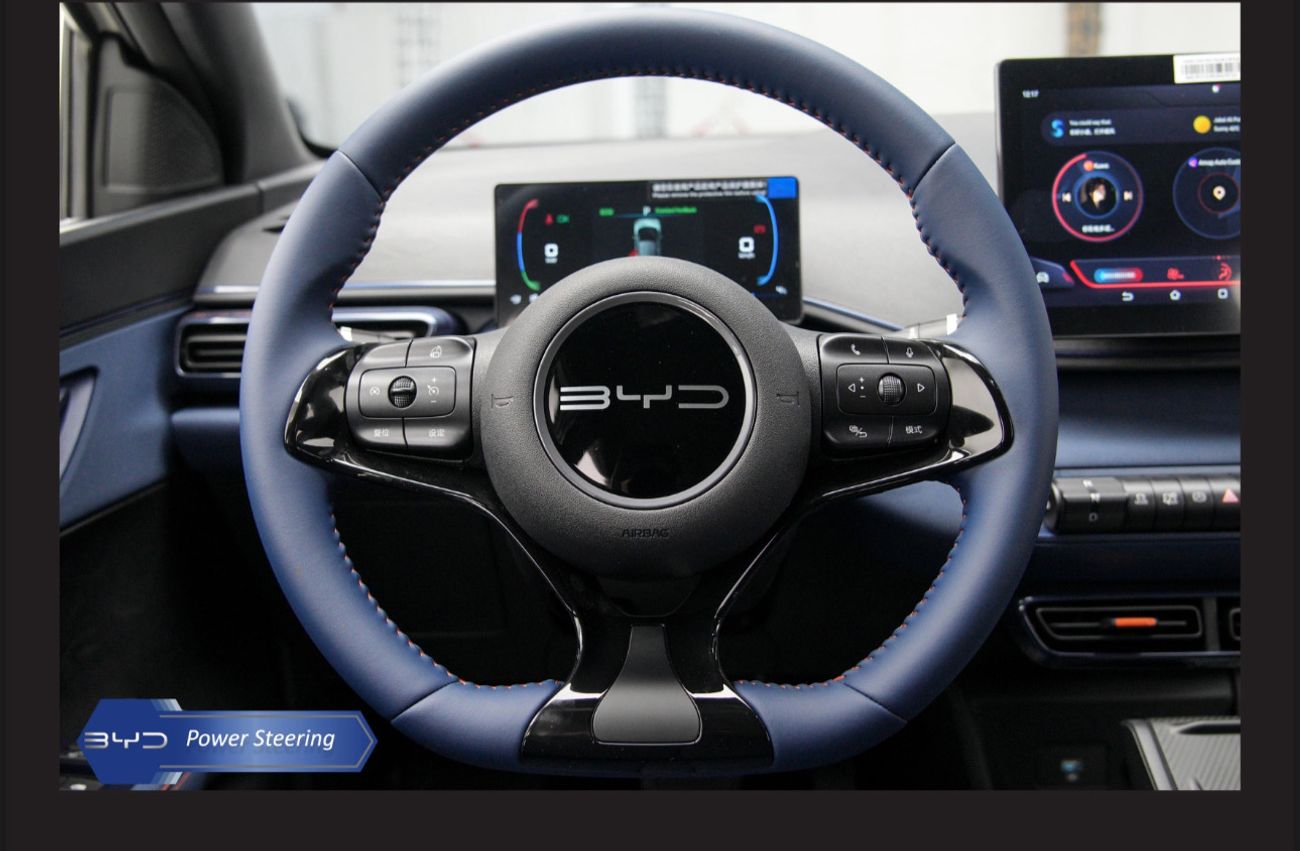 بي واي دي سيجول BYD seagull flying 405 GOLD warranty and service open KM