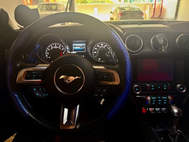 Ford Mustang, миниатюра 20