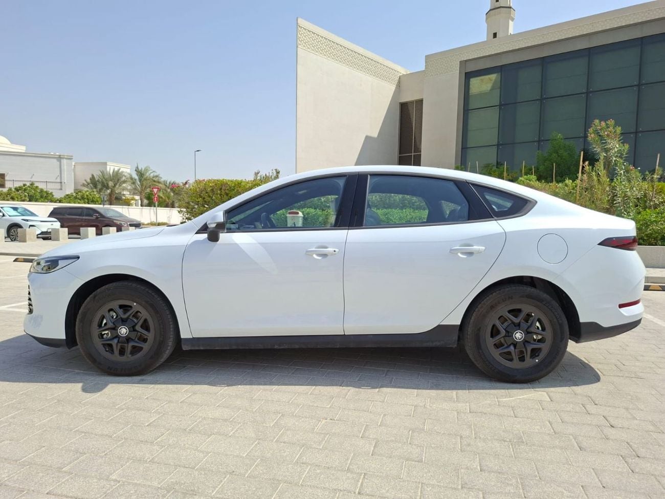 بي واي دي كين بلاس STANDARD