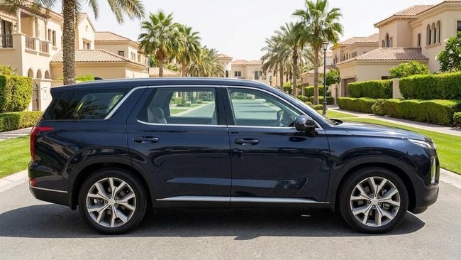 Hyundai Palisade PREMIUM, миниатюра 25