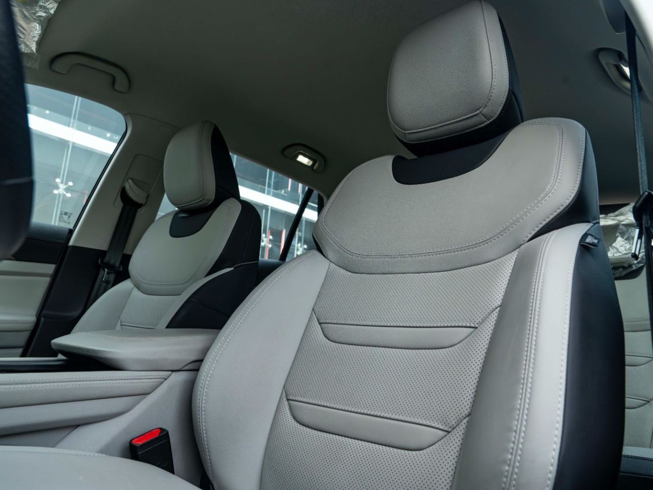 فورد تيريتوري TREND