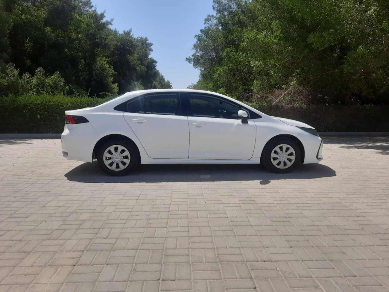 Toyota Corolla XLI