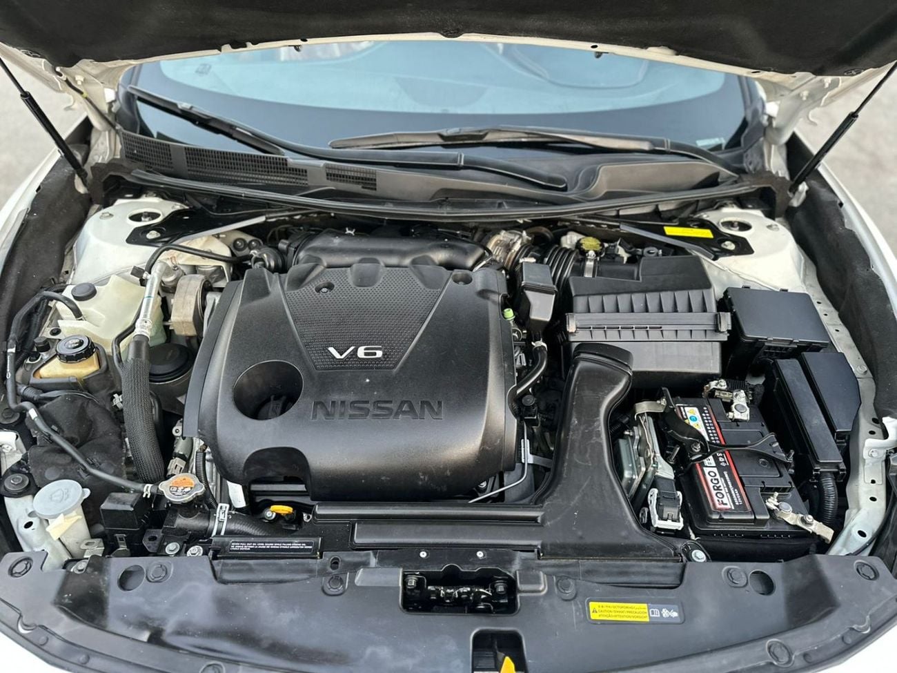 Nissan Maxima SR