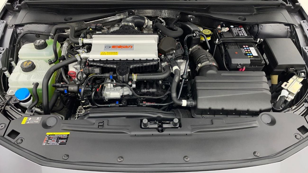 GAC Empow R 2L 2026 | 0 DP | 1504/Month | 30 Day Return | Service History