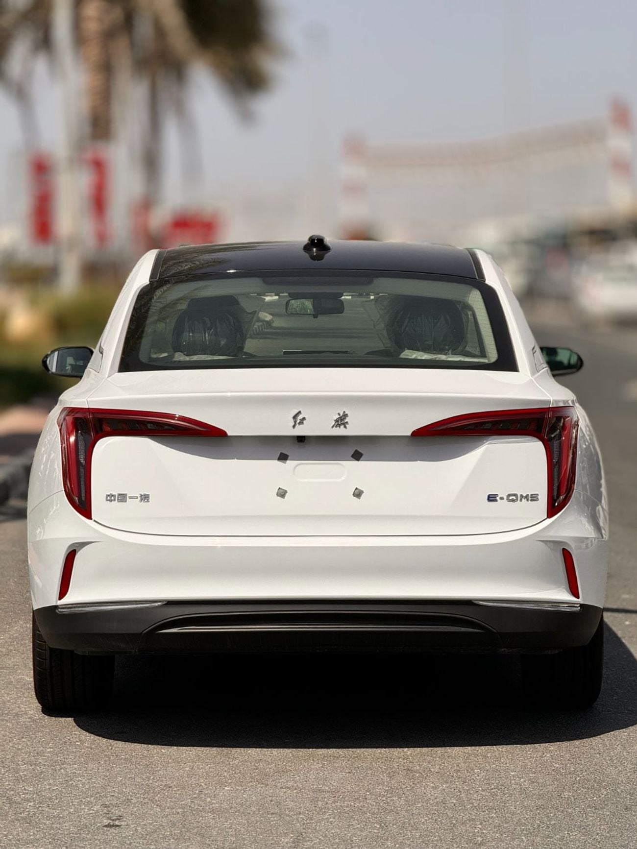 هونغشي E-QM5