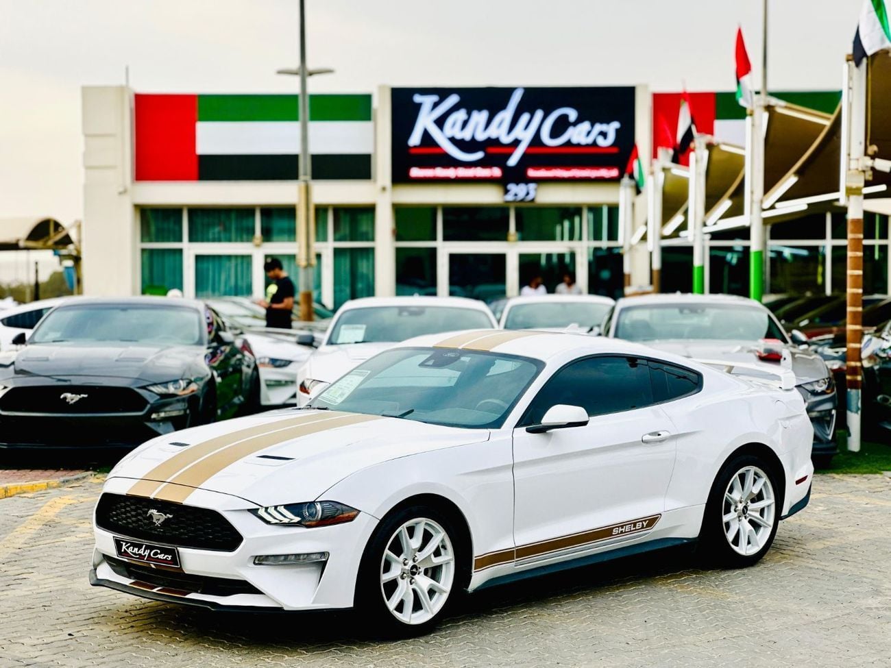 Ford Mustang EcoBoost Premium 2.3L Coupe A/T | Monthly 1300/- | 0% DP | # 12590