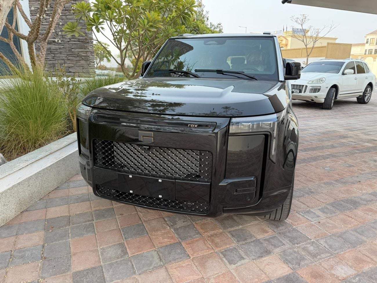 روكس أداماس STD 232