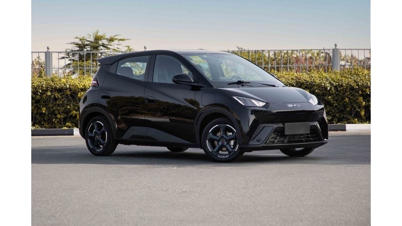 BYD Seagull 2024 BYD Seagull - Black inside Blue | Export Only