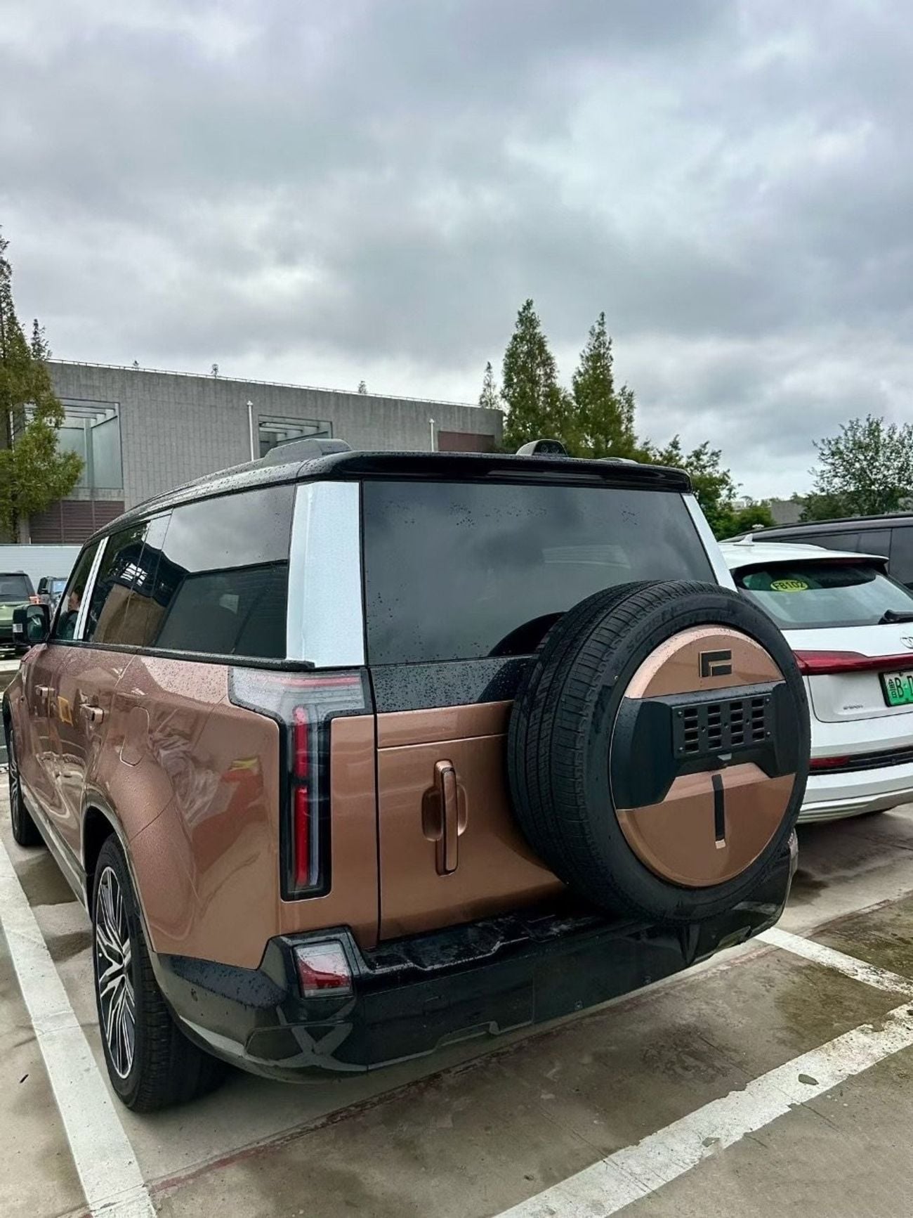 ROX Adamas adamas 6seater gold-white