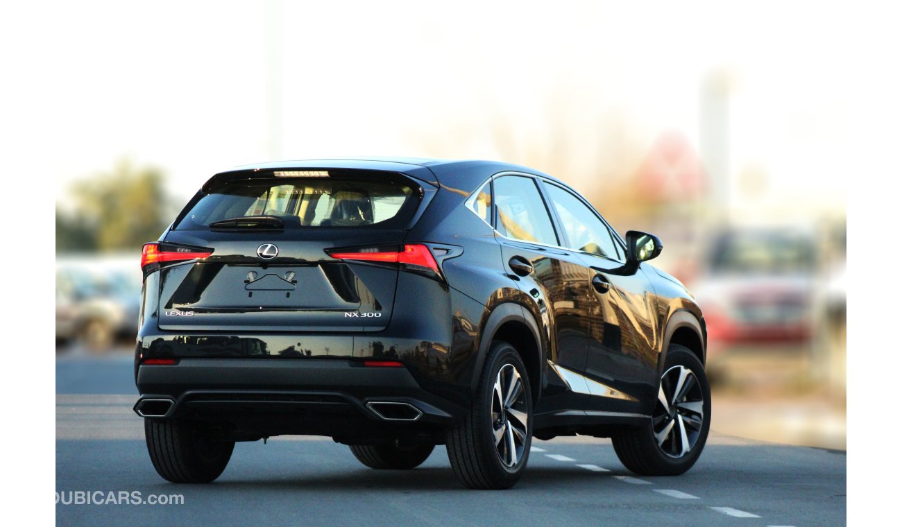 Lexus NX300 full option 2018 model