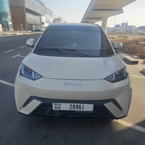 بي واي دي سيجول