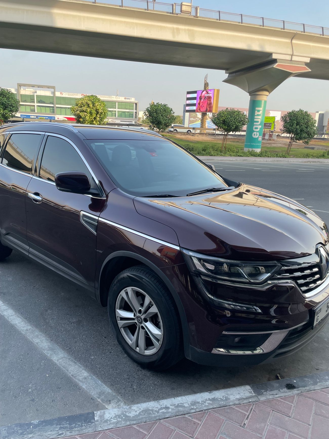 رينو كوليوس