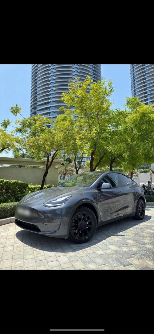 تسلا موديل Y