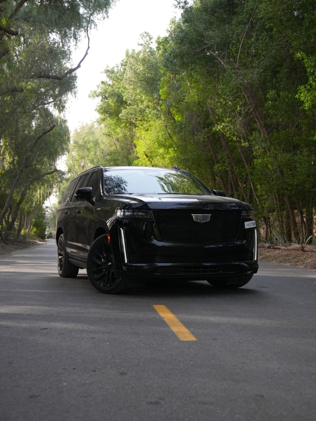 Cadillac Escalade Sport Platinum 6.2L AWD