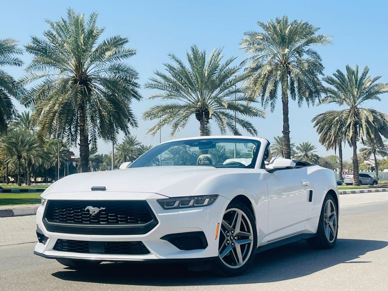 Ford Mustang EcoBoost Premium 2.3L Convertible A/T