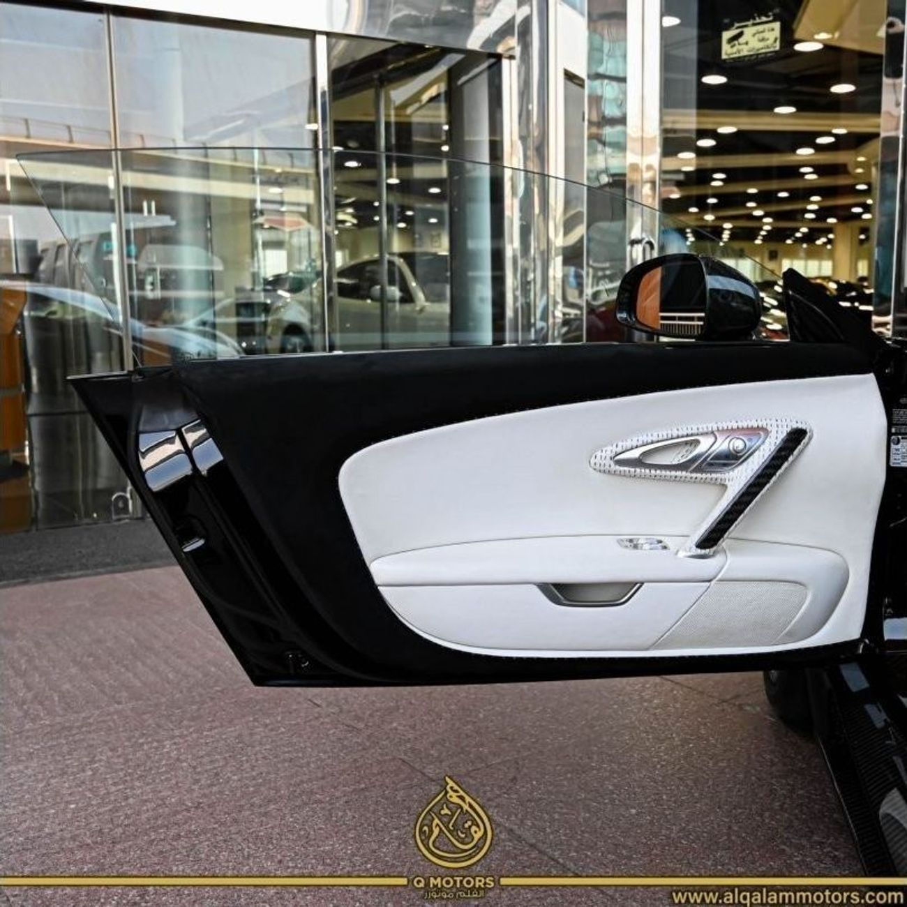 Bugatti Veyron VINCERO MANSORY